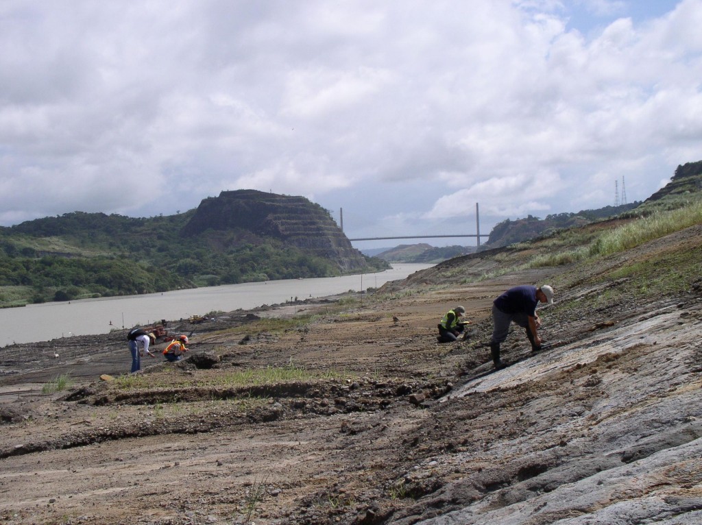 Panama Canal excavations