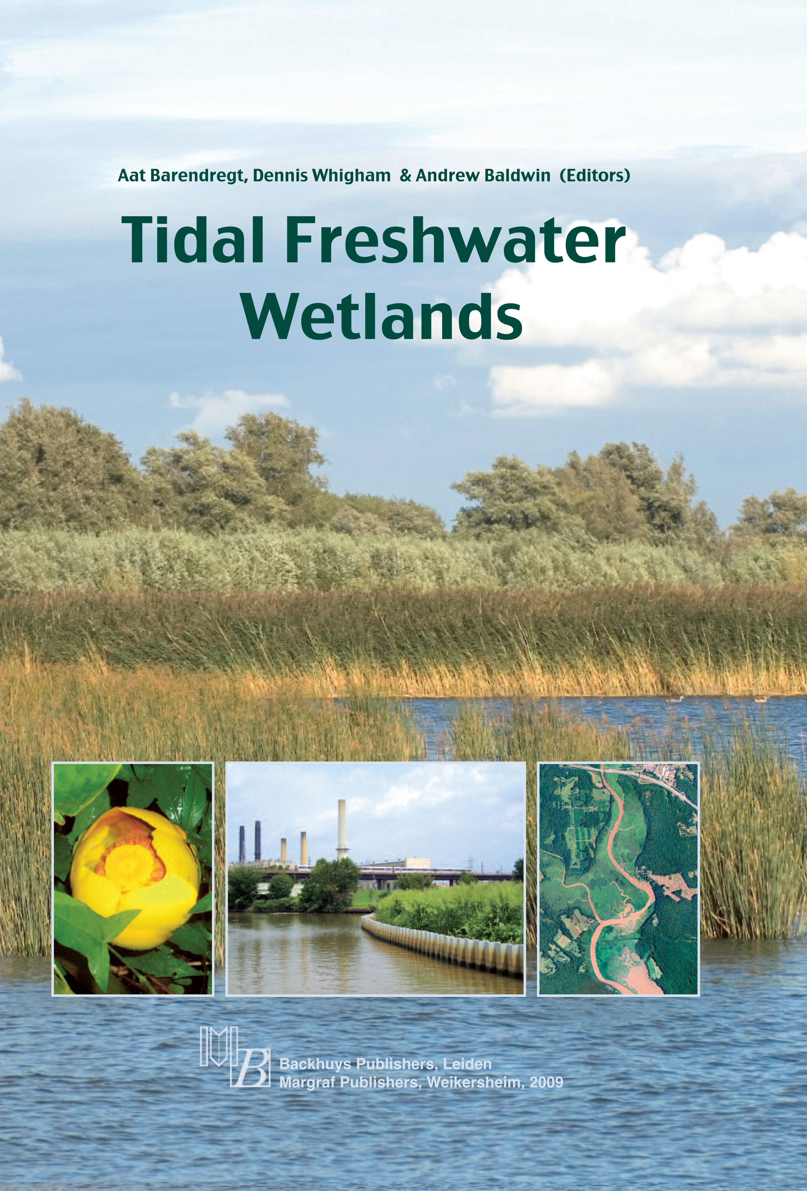 dissertations on wetlands