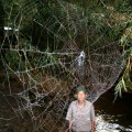 man looking at large spider web over river