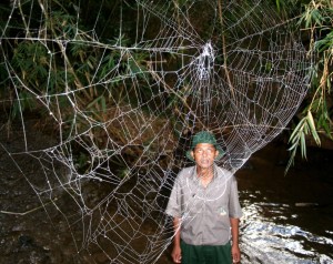 man looking at a spider web