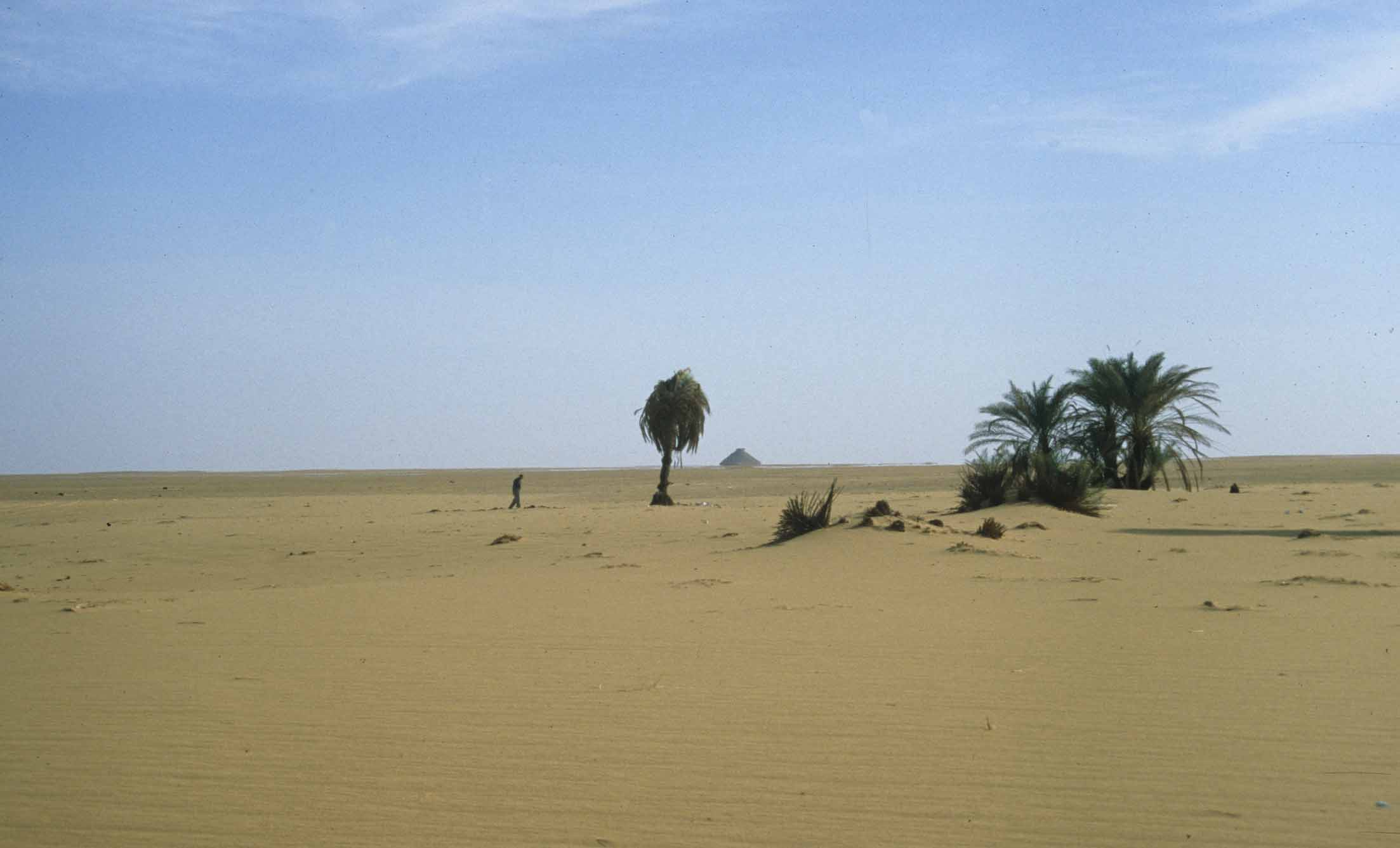 Ancient Megalake Discovered Beneath Sahara Desert Smithsonian Institution 1633