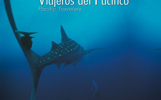 Whale sharks featured in award-winning documentary following the work of Tropical Research Institute’s Héctor Guzman