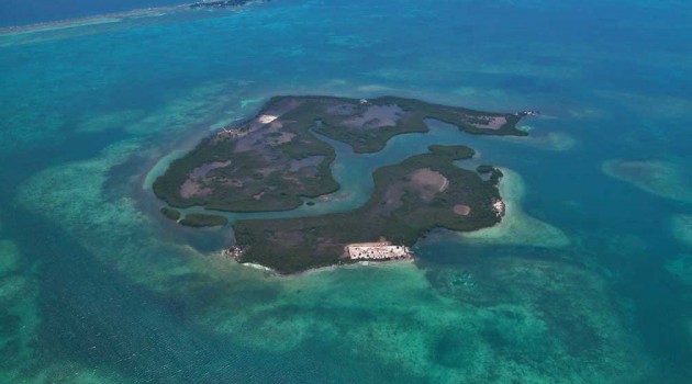 NASA to help Smithsonian botanists track northern creep of Florida mangroves