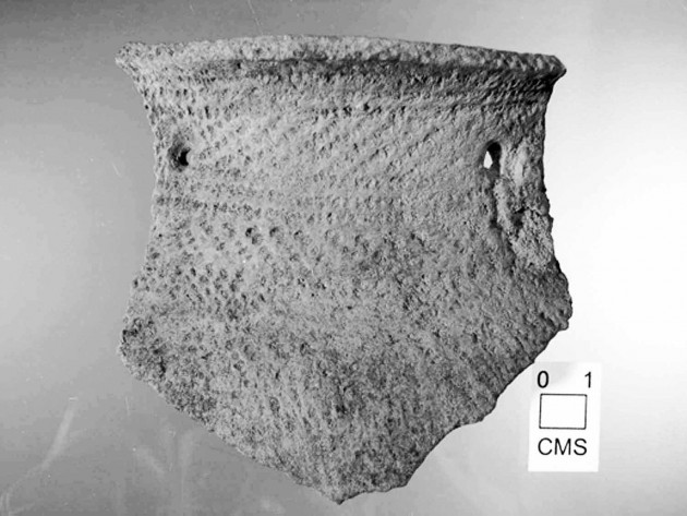 Image left and below: A fragment from a ceramic vessel (left) and a carbonized kernel of corn taken from Native American settlement sites in the Delaware River Valley (Photos courtesy Timothy Messner).