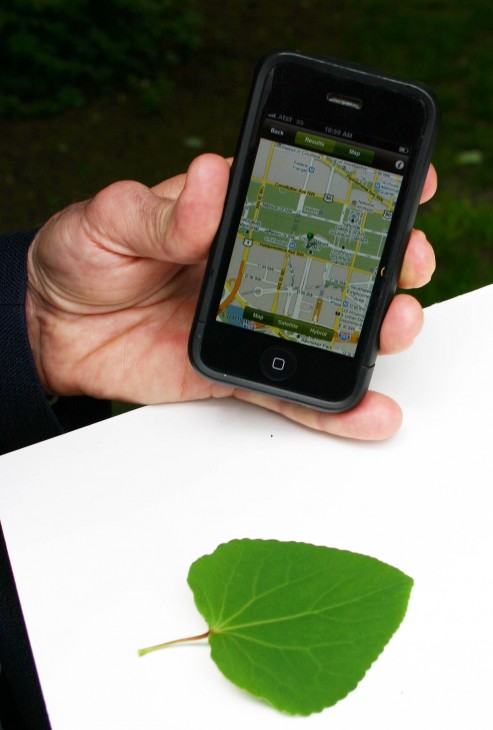 In addition to identifying and providing information about plants, Leafsnap also can map a specific plant's location and save the location for future reference. (Photos by John Barrat)