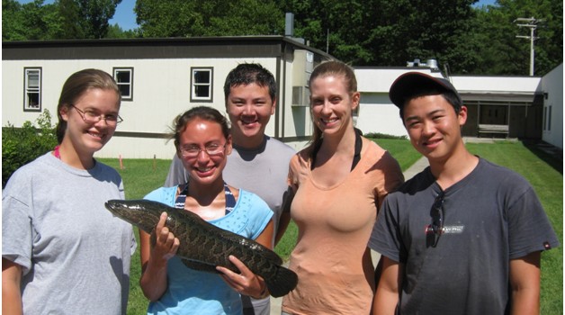 Smithsonian team finds northern snakehead fish in Maryland’s Rhode River
