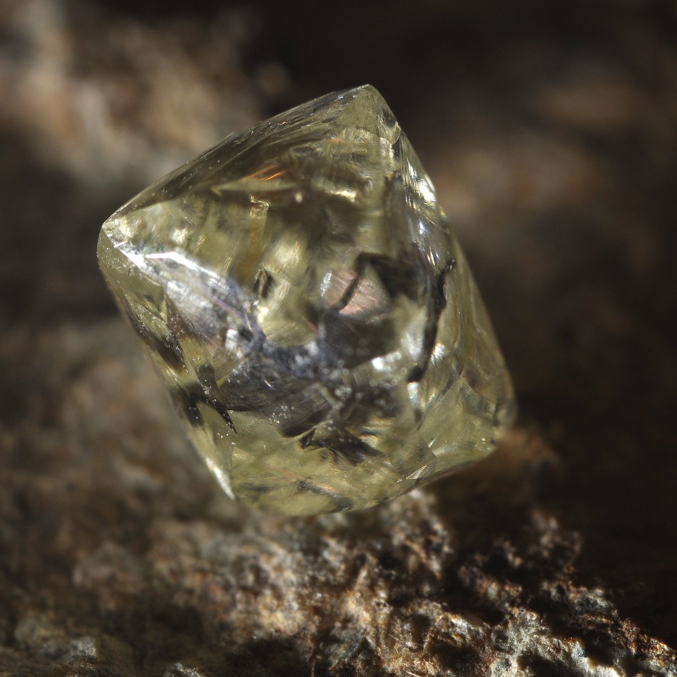 Smithsonian Insider – 500 carats of rough diamonds donated to