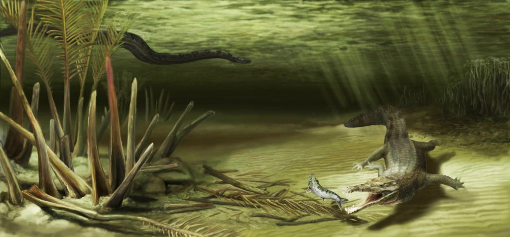 This illustration shows how Acherontisuchus guajiraensis, a 60-million-year-old ancestor of crocodiles, would have looked in its natural setting. Titanoboa, the world’s largest snake, is pictured in the background. (Illustration by Danielle Byerley/click to enlarge)