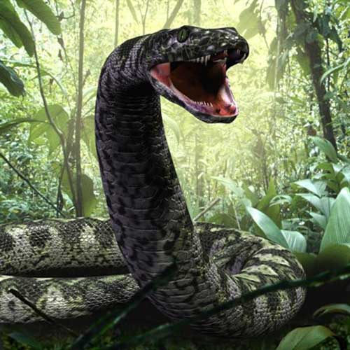 titanoboa-worlds-largest-snake-2.jpg