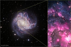 Astronomers witness black hole outburst in Spiral Galaxy M83