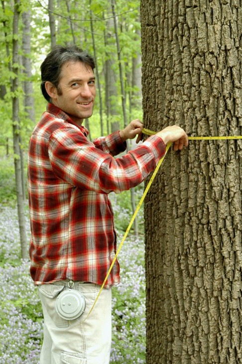 Daniel Johnson, a biology graduate student at Indiana University, measures the diameter of a white ash tree.