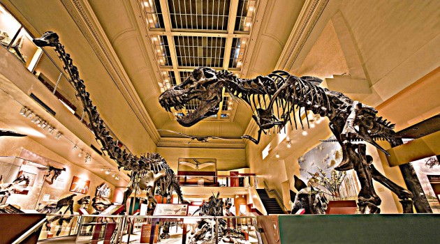 $35-million donation will build new dinosaur hall at National Museum of Natural History