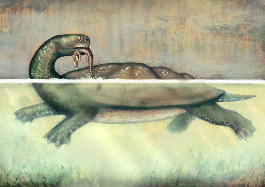 A giant prehistoric turtle
