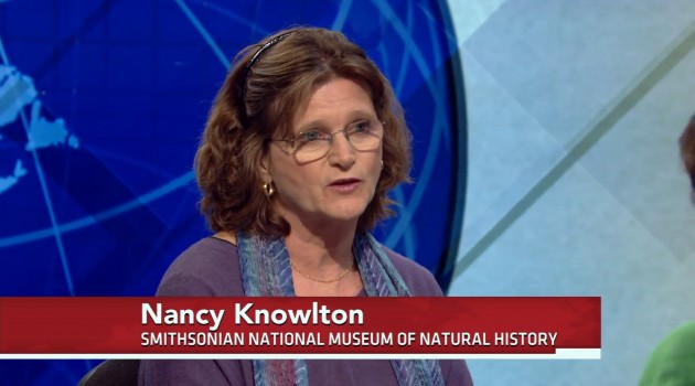 Nancy Knowlton on PBS NewsHour