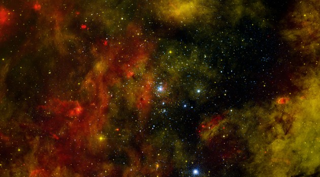 Cygnus OB2: Probing a nearby stellar cradle