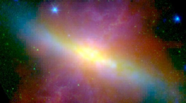Active star-forming galaxy M82 in three wavelengths