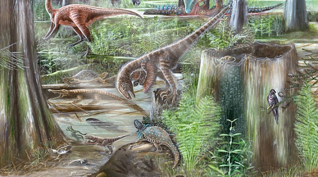 How do paleontologists reconstruct environments from the ancient past?