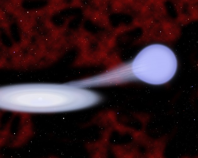 supernova Type lax This artist's conception shows the suspected progenitor of a new kind of supernova called Type Iax. Material from a hot, blue helium star at right is funneling toward a carbon/oxygen white dwarf star at left, which is embedded in an accretion disk. In many cases the white dwarf survives the subsequent explosion. Credit: Christine Pulliam (CfA)