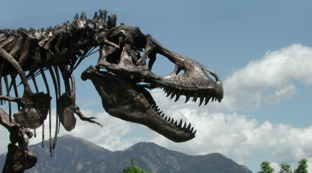 T. rex to rule Dinosaur Hall in Washington, D.C.