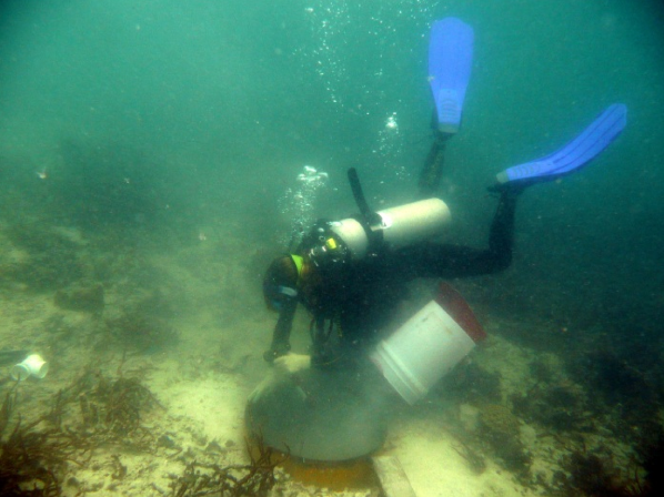 Katie Cramer collects coral skeletons and shells from excavation pit near Bocas del Toro, Panama. (Photo courtesy Scripps Institution of Oceanography)