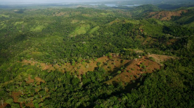Nearly 50 percent of the world’s tropical forests are secondary forests that have regrown after clearing, agriculture or cattle grazing. The Agua Salud Project in the Panama Canal Watershed makes it possible for Smithsonian scientists to quantify carbon storage, runoff and biodiversity for land uses including teak and native tree species plantations. (Photo by Christian Ziegler)