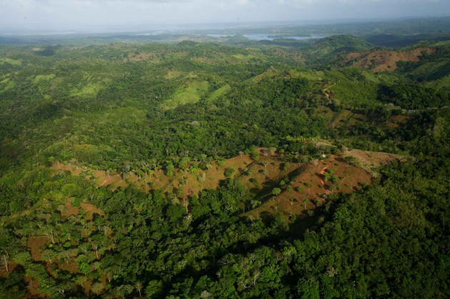 Nearly 50 percent of the world’s tropical forests are secondary forests that have regrown after clearing, agriculture or cattle grazing. The Agua Salud Project in the Panama Canal Watershed makes it possible for Smithsonian scientists to quantify carbon storage, runoff and biodiversity for land uses including teak and native tree species plantations. (Photo by Christian Ziegler)
