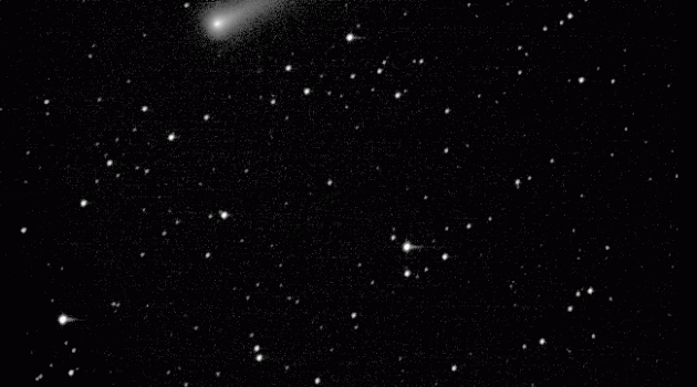 This animated gif combines two photos of Comet ISON taken about a half hour apart on the morning of November 9th. At the time, ISON was traveling through the solar system at a speed of about 120,000 miles per hour. ISON will make a close approach to the Sun on November 28th, and might become spectacularly bright in the days immediately following perihelion. (Photo by B. Mellin/MicroObservatory)