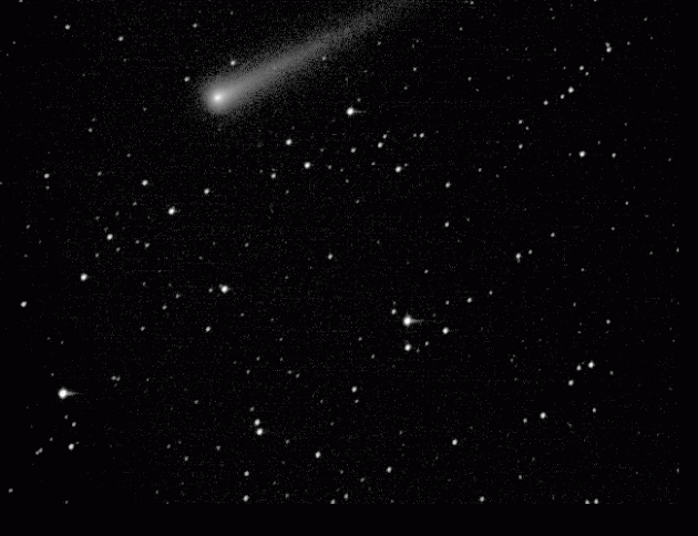This animated gif combines two photos of Comet ISON taken about a half hour apart on the morning of November 9th. At the time, ISON was traveling through the solar system at a speed of about 120,000 miles per hour. ISON will make a close approach to the Sun on November 28th, and might become spectacularly bright in the days immediately following perihelion. (Photo by B. Mellin/MicroObservatory) 
