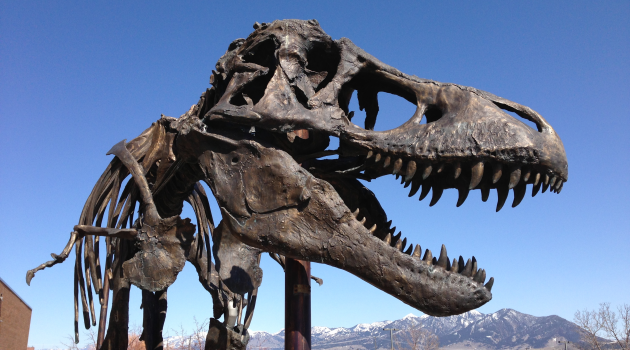 How a giant T. Rex packs for a road trip