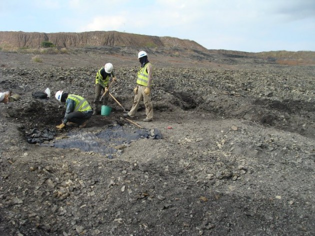 A Smithsonian team excavates a crocodile fossil in the Cerrejón coal mine in Colombia.