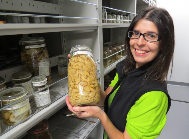 Taxonomist Patricia Cabezas holds a jar or squat lobster specimens in the wet collections of the Department of Invertebrate Zoology, National Museum of Natural History. The collection is housed at the  Smithsonian's Museum Support Center in Suitland, Md. (John Barrat photo)
