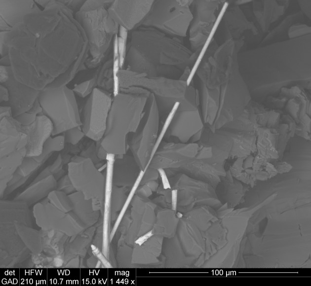 An electron microscope image of unidentified molybdenum sulfide whiskers among fragments of graphite, prehnite and diopside. (Photo: Michael Wise, NMNH)