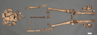 Smithsonian Insider – Jamestown skeletons identified as colony leaders ...