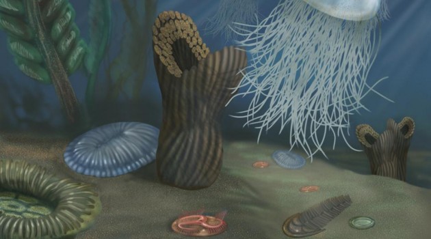 Earth’s first multicellular creatures had soft bodies. This illustration one imagining of a community of Ediacaran biota, some of which resemble living ocean creatures. Others are unlike any known organisms and cannot be classified. Scientists have found fossils of these fauna in sedimentary rocks worldwide. (Illustration by Smithsonian Institution)