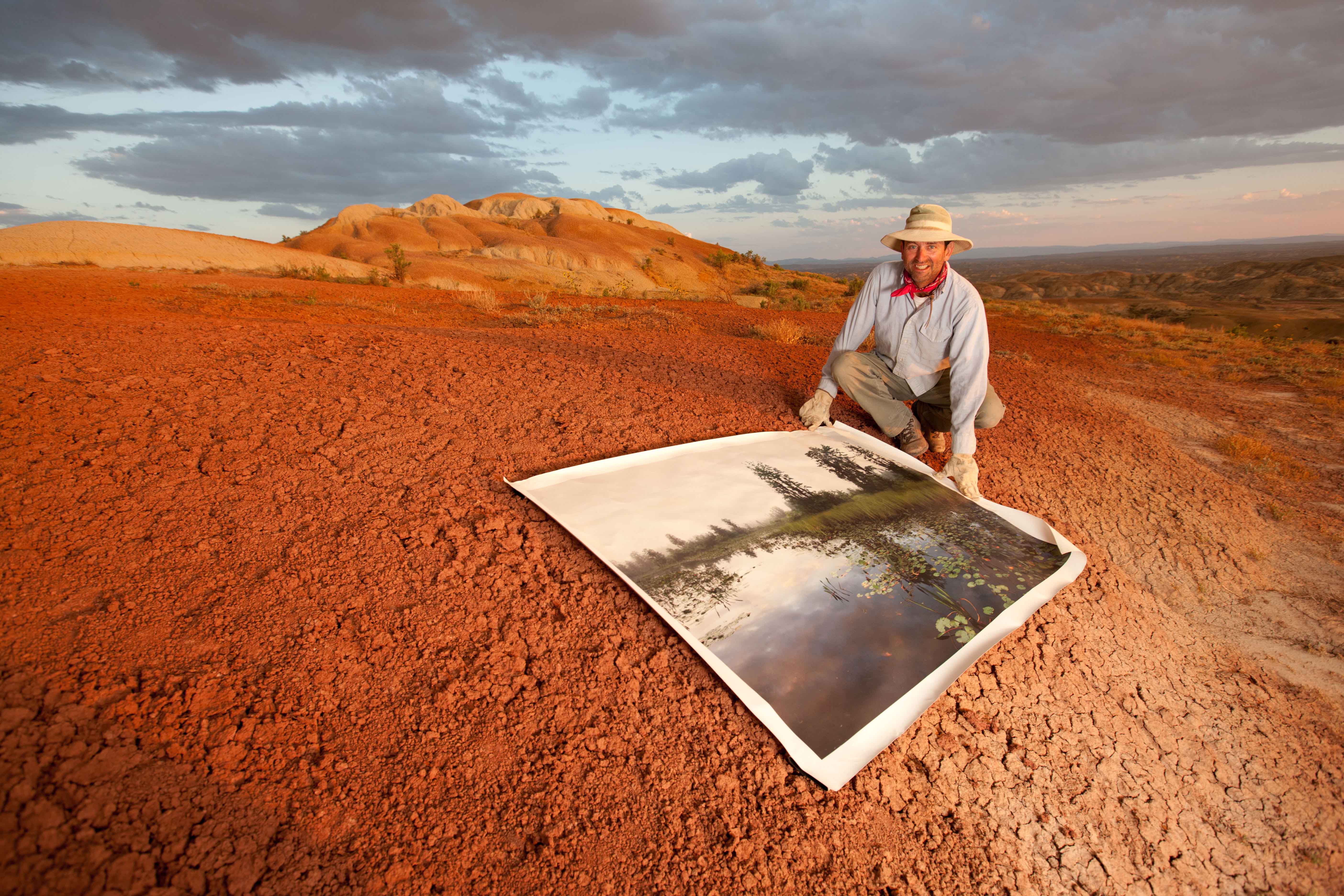 How Do Fossils Help Scientists Understand the History of Life