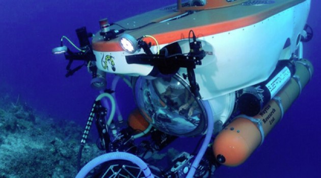 Capturing a new species with a submersible