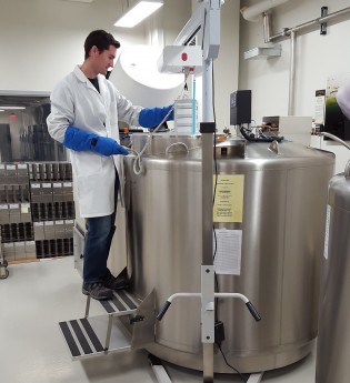 Steve Thornton removes tissue samples from one of the Global Genome Initiative's liquid nitrogen freezers
