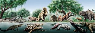 Urumaco painting