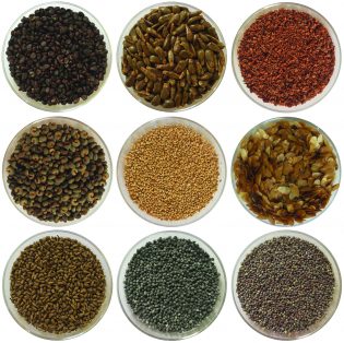 9 seeds