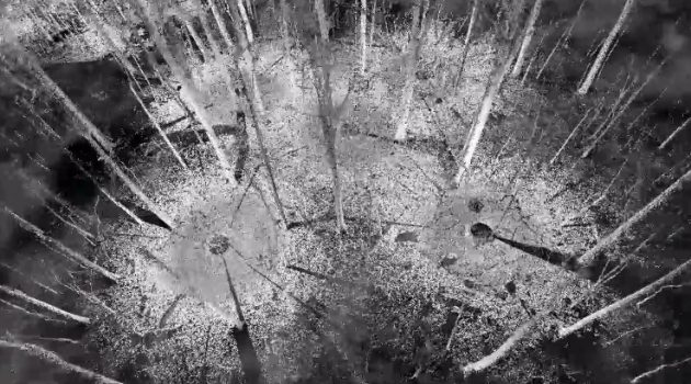 Remote sensing of a Smithsonian forest with airborne LiDAR