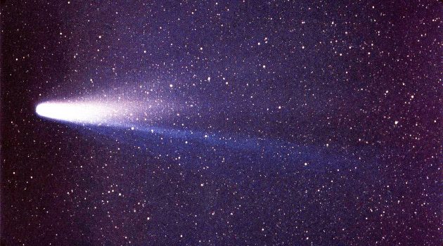 An image of Halley's comet. Astronomers have detected around other stars exocomets with masses comparable to Halley's comet. (W. Liller, the International Halley Watch Large Scale Phenomena Network)