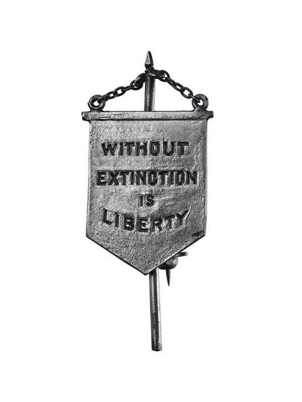 Suffrage Pin