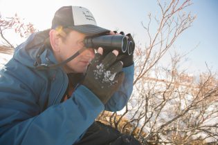 Smithsonian Insider – Scientists track a mysterious songbird using tiny ...